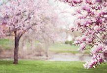 З 9 травня синоптики прогнозують потепління та підвищення атмосферного тиску, 14-15 травня сильні магнітні бурі