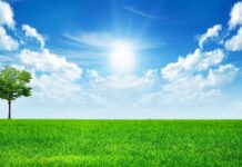 В Україну йде спека до +31° С