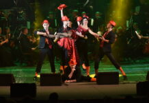 Як в умовах карантинних обмежень відбуватиметься Operafest Tulchyn 2021