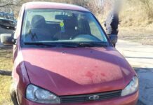 На Вінниччині нетверезий водій збив трирічного хлопчика