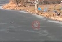 У Вінниці нетверезий чоловік провалився під кригу на Південному Бузі