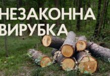 На Вінниччині оголосили підозру начальнику обласного відділу лісового господарства та гайсинським лісівникам