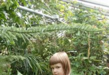 Евакуйованих запрошують на безкоштовну екскурсію до Вінницької станції юннатів