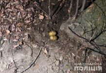 В середмісті Вінниці знайшли два предмета схожі на гранати