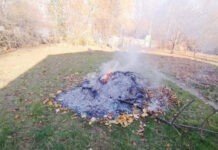 Вінничанам нагадують про заборону спалювання опалого листя
