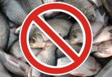 На Вінниччині розпочалась весняна нерестова заборона на вилов риби