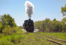 На Вінниччині від Гайворона до Бершаді відбувся престур на старовинному паровозі. Фоторепортаж