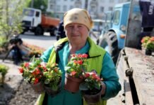 У Вінниці планують висадити понад 3000 квітів