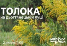 Вінничан запрошують з лопатами на прибирання малої річки