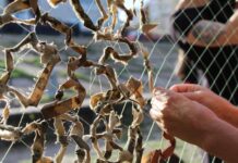 Вінничан запрошують на плетіння маскувальних сіток