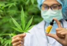 Що думають вінничани про можливу легалізацію медичного канабісу. Опитування. Відео