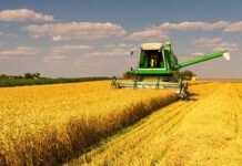 На Вінниччині тривають жнива, з полів уже забрали мільйон тонн пшениці, ячменю та гороху
