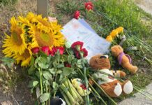 У Вінниці працюють психологи з сусідніх областей