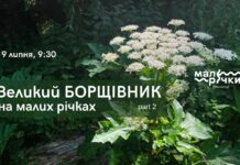 Вінничан запрошують на екотолоку де знищуватимуть борщівник