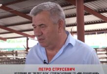 Фермерське господарство на Вінниччині вкладає в соціальну сферу від 3 до 5 тисяч гривень з кожного гектару