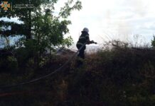 На Вінниччині протягом доби стались 24 пожежі в екосистемах