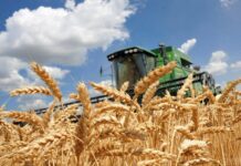 На Вінниччині вже намолотили майже 1,7 мільонів тонн зерна