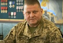 Відео до Дня Незалежності України від головнокомандувача ЗСУ та захисників держави