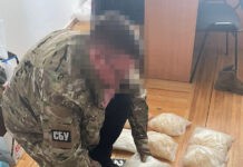 На Вінниччині через кордон намагались організувати трафік психотропів
