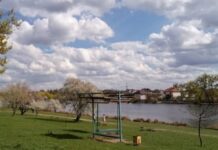 У Вінниці визначили якість води у Вишенському озері