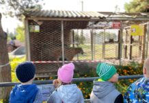 Будівництво нових вольєрів та тварини переселенці. Як живе Подільський зоопарк під час війни