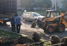 У Могилів-Подільському висаджують платани