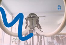 У Вінниці дітей запрошують на квест музеями міста — «Таємниці музейних експонатів»