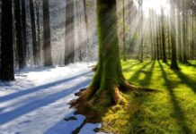 На Вінниччині аномально тепла погода погода у Вінниці