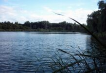 У Вінницьких Хуторах утворять ініціативні групи «Чиста водойма», які стежитимуть за 37 ставками