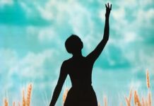 Театру тіней з Вінниччини виборов друге місце національного фестивалю «Код нації». Відео