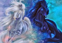 За китайським гороскопом сьогодні 25 березня день водяного коня Гороскоп, день водяного коня