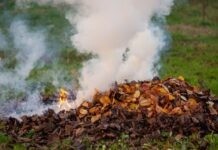 Лікарі нагадують вінничанам: спалювання відходів сухої рослинності – серйозна загроза для здоров’я людей Штрафи за спалювання листя