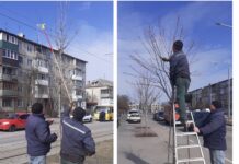 У «Вінницязеленбуді» розпочалися роботи із зеленими насадженнями Зелені насадження