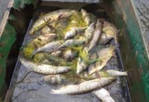 На Вінниччині з 1 квітня вводяться суворі обмеження на вилов риби та раків здійснював вилов рибу