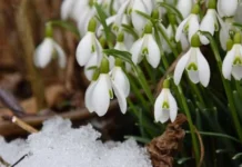У Вінниці буде хмарно з проясненнями: погода на сьогодні, 19 березня Погода сьогодні