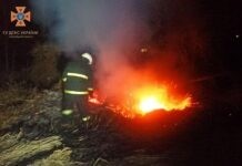 Рятувальники закликають не палити суху рослинність, щоб запобігти пожежам Ліквідація пожеж