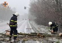 На Вінниччині негода: обленерго попереджає про обриви дротів падають дерева