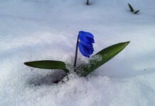 У Вінниці сьогодні ясна погода без опадів погода