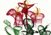 У Вінниці запрошують на майстер-клас з «Кляксографії» майстер-клас Кляксографія