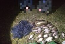 Ловись, рибко, велика й маленька: на Вінниччині браконьєри «нарибалили» на 47 тисяч гривень Порушили правила рибальства