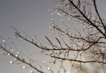 У Вінниці впродовж усього дня буде хмарно: погода на сьогодні, 20 березня Прогноз погоди