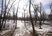 Дощі уже закінчилися, але й сонця не побачите: погода у Вінниці на сьогодні, 13 березня Небо вкрите хмарами