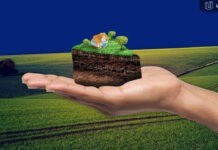 На Вінниччині посадовець може потрапити за грати за незаконне оформлення землі Незаконне оформлення землі