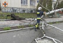 Ліквідація негоди: впродовж доби вінницькі рятувальники виїжджали понад два десятки раз Рятувальники ліквідація негоди