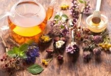 Аромати спокою: 8 рослин, які допоможуть зняти стрес Заспокійливі аромати квітів