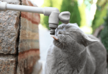 За якими адресами у Вінниці не буде води та світла Ремонт водогону