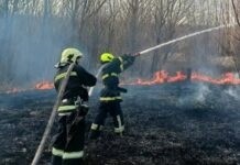 Зменшення пожеж на Вінниччині: два загоряння за останню добу Пожежа суха трава