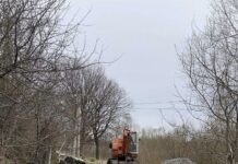 У Вінницьких Хуторах облаштовують алею-перехід капітальний ремонт алеї-переходу