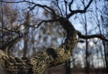 Сьогодні у Вінниці тепла погода Прогноз погоди