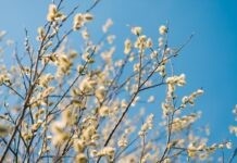 У Вінниці перемінна хмарність, а надвечір треба приготувати парасольку Прогноз погоди